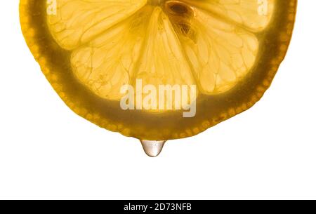 Detail of half lemon slice backlit with juice falling white isolated background. Horizontal composition. Stock Photo
