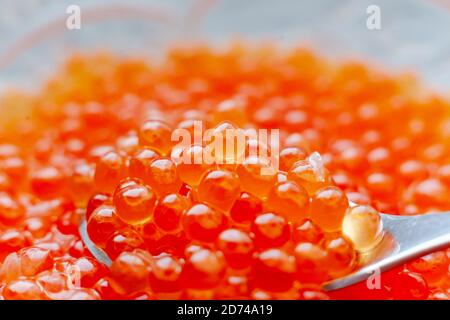 red caviar in a close-up spoon Stock Photo