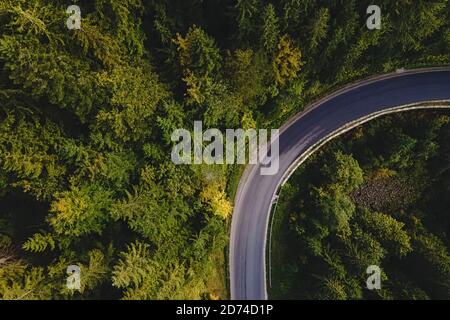 Aerial top view of curvy mountain road going through the pine forest. Stock Photo