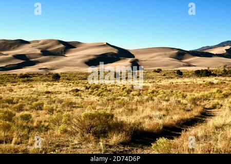 Pathway through the grasslands and sand in the Great Sand Dunes National Park. leading to Sangre de Cristo Mountains in Colorado, USA Stock Photo