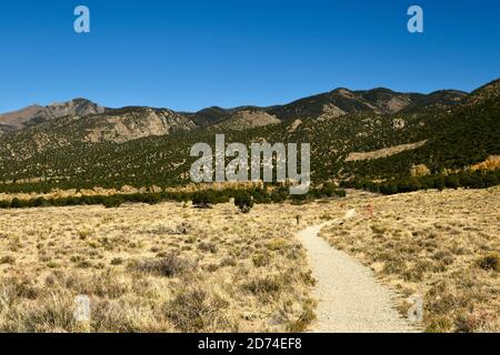 Pathway through the grasslands and sand in the Great Sand Dunes National Park. leading to Sangre de Cristo Mountains in Colorado, USA Stock Photo