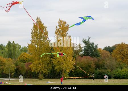 20 October 2020, Saxony-Anhalt, Magdeburg: Kite friends of the 'Magdeburger Elbwind' let their kites fly in a green area. The kites are designed and built by the kite friends themselves. The group consists of 9 kite enthusiasts with over 500 kites. In the coming days it will be much warmer in the region around the state capital, but there will be a constant light breeze. To fly a kite you need a wind speed of at least one to three Beaufort scale wind forces. In the middle of the week the wind can be 10 kilometers per hour, which would be enough to fly a kite. Photo: Klaus-Dietmar Gabbert/dpa-Z Stock Photo