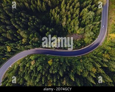 Aerial top view of curvy mountain road goingthroughthe pine forest. Stock Photo