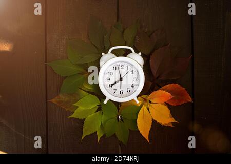 Autumn leaves transition from green to red on wooden background. Concept change of season Stock Photo