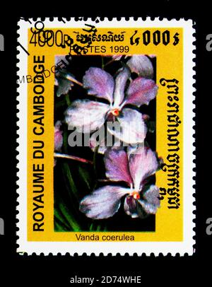MOSCOW, RUSSIA - NOVEMBER 24, 2017: A stamp printed in Cambodia shows Vanda coerulea, Native orchids serie, circa 1999 Stock Photo