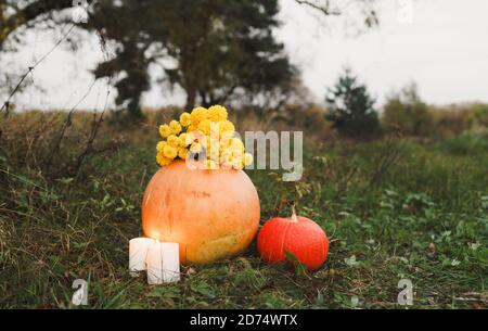 two ripe pumpkins are lying on the grass on top of a bouquet of yellow flowers candles are burning. Stock Photo