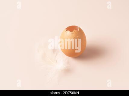 Cracked opened egg with feather on pastel pink background. Great design for any purposes. Vintage pink background. Copy space. Stock Photo