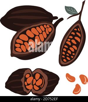 Fruits of cocoa beans set. Chocolate beans. Stock Vector