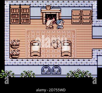Dragon Warrior Monsters - Nintendo Game Boy Color Videogame - Editorial use  only Stock Photo - Alamy