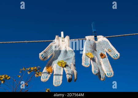 Pair of white work gloves, fastened with two clothespins, with blue pimples and leaves stuck after work, hanging from clothesline against blue sky Stock Photo