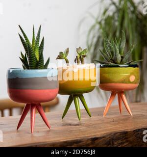colorful handmade ceramic cactus pots Stock Photo