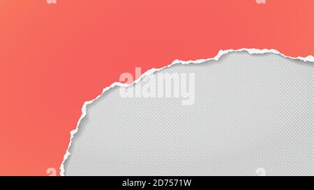 Torn of pink paper strips, piece is on white spotted background for text, advertising or design. Vector illustration Stock Vector
