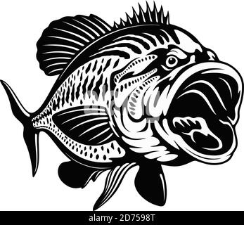 bass fish template