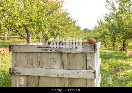 Wooden apple crate at Green Mountain Orchards in Putney Vermont Stock Photo