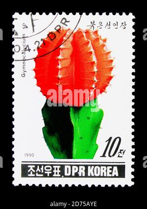 MOSCOW, RUSSIA - NOVEMBER 25, 2017: A stamp printed in Democratic People's republic of Korea shows Gymnocalycium sp, Cacti serie, circa 1990 Stock Photo