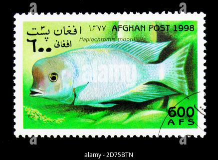 MOSCOW, RUSSIA - NOVEMBER 25, 2017: A stamp printed in Afghanistan shows Humphead Cichlid (Haplochromis moorii), Fish serie, circa 1998 Stock Photo