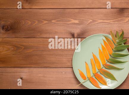 Abstract autumn still life: a beautiful yellowed leaf and a green plate on a brown wooden table. Flat lay. Copy space Stock Photo