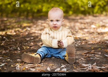 boy sits on the ground the autumn leaves lie on the ground. Stock Photo