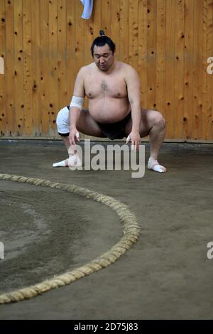 Japanese Sumo wrestlers training inside a traditional Sumo stable in early morning.Koto City.Tokyo.Japan Stock Photo