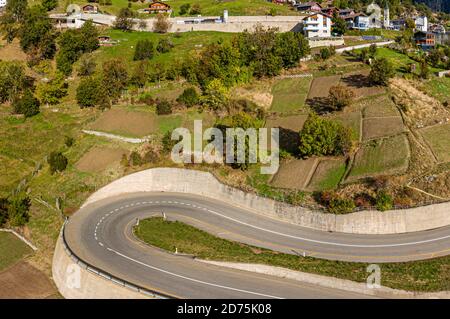 Saffron cultivation, harvest and processing in Mund, Naters, Switzerland Stock Photo