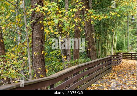 Walking trail at Oconaluftee Islands Park in Cherokee, North Carolina. (USA) Stock Photo