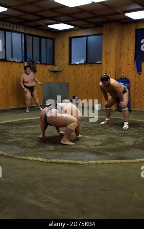 Japanese Sumo wrestlers training inside a traditional Sumo stable in early morning.Koto City.Tokyo.Japan Stock Photo