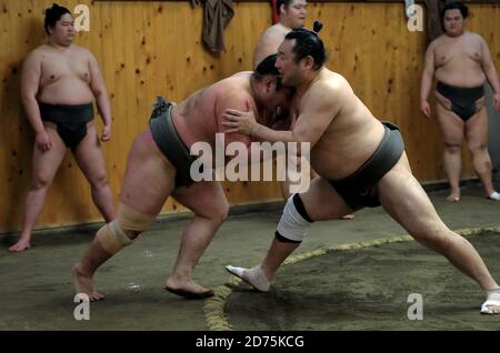 Japanese Sumo wrestlers training inside a traditional Sumo stable in early morning.Koto City.Tokyo.Japan Stock Photo