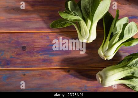 Fresh green bok choy or pac choi chinese cabbage on a colored wooden background. Hard light, contrast. Side view, copy space, selective focus. Stock Photo