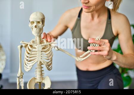 woman holding a realistic model of a human skull Stock Photo