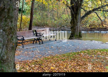 Two wooden park benches near a river with large trees and autumn foliage surrounding the resting area. Stock Photo