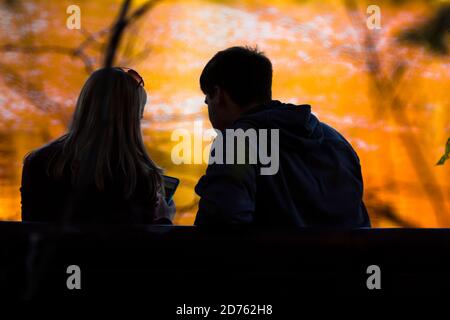Young couple sitting side by side on a bench in fall color Stock Photo