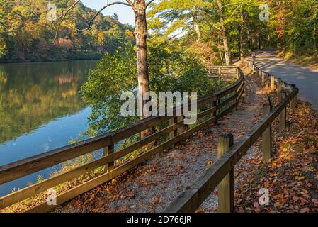 Lakeside trail on an autumn afternoon along Lake Trahlyta in Vogel State Park near Blairsville, Georgia. (USA) Stock Photo