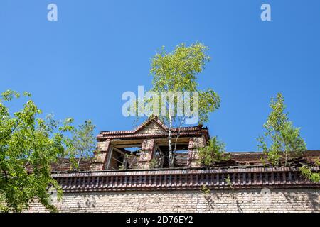 BEELITZ, GERMANY - JUNE 30, 2020:  A lost place in germany is the famous abandoned hospital and tuberculosis sanatorium in Beelitz near Berlin. Trees Stock Photo