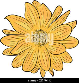 Vector bright yellow flower on a white background. Stock Vector