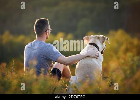Man sitting with dog on meadow. Pet owner embracing his labrador retriever in grass. Stock Photo
