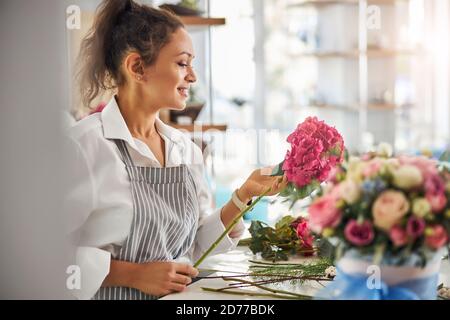 Charming female florist looking at a beautiful rosy flower Stock Photo