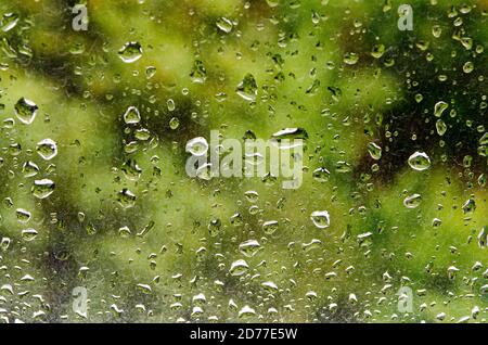 Drops of autumn on the window against the background of the forest Stock Photo