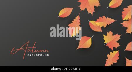 Autumn seasonal background with autumn leaves lay on dark background with place for copy, calligraphy signature Stock Vector