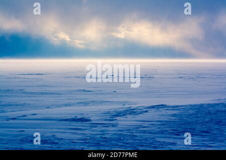Blizzard on the winter lake Baikal. The sun shines through the snow and clouds. Strong wind sweeps snow. Tinted in blue. Horizontal. Stock Photo