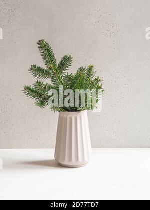 Minimalistic christmas composition with fir branches in modern ceramic vase on gray background. Front view. Copy space Stock Photo