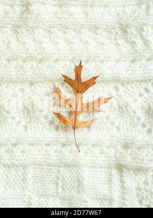 Autumn composition. Frame made of knitted plaid or scarf background and fallen leave. Autumn, fall concept. Flat lay, top view, copy space. Stock Photo
