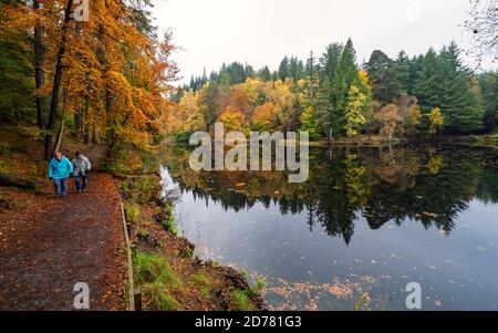 Autumn colours on woodland foliage at Loch Dunmore in Faskally Wood near Pitlochry in Perthshire, Scotland,UK Stock Photo