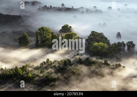 Into the wild, autumn landscape with fog Stock Photo