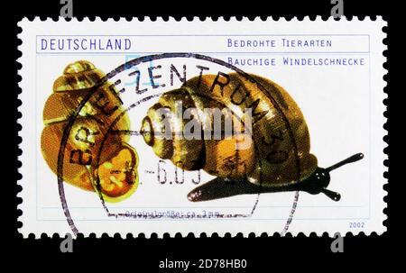 MOSCOW, RUSSIA - OCTOBER 21, 2017: A stamp printed in German Federal Republic shows Desmoulin's Whorl Snail (Vertigo moulinsiana), Endangered Animals Stock Photo