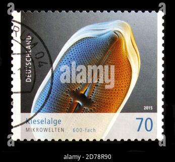 MOSCOW, RUSSIA - OCTOBER 21, 2017: A stamp printed in German Federal Republic shows Diatom,  Microworldsserie, circa 2015 Stock Photo