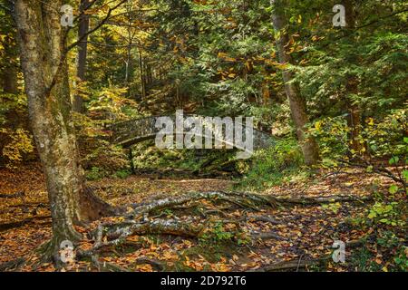 Stone pedestrian bridge near Lower Falls. Autumn view along the lower gorge trail at Old Man's Cave, Hocking Hills State Park, Logan, Ohio, USA. Stock Photo