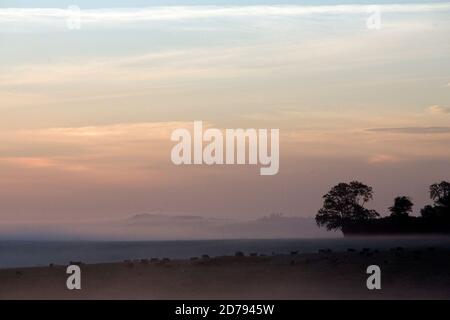 The Sun begins to rise above the Wiltshire landscape during the Summer Solstice at Stonehenge. Stock Photo