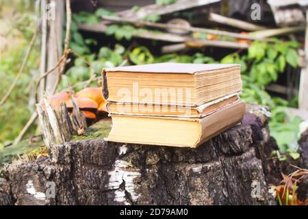 Stack of old books on tree stump in autumn park Stock Photo