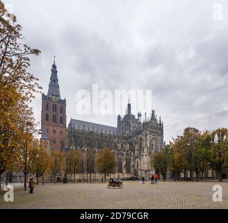 St John's Cathedral with chestnut trees in autumn colors. 's-Hertogenbosch, Netherlands Stock Photo