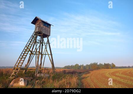 Elevated wooden hunting blind on a field in early morning. Stock Photo